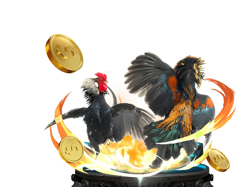 Các quy tắc công bằng trong đá gà SV368